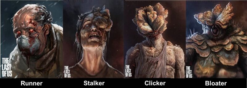 Файл:Останні-з-нас-стадії-кордицепсу.jpg