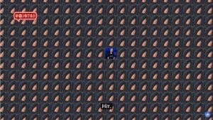 359.jpg