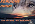 Вовк3.png