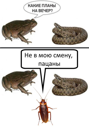 Вагнер 45.png