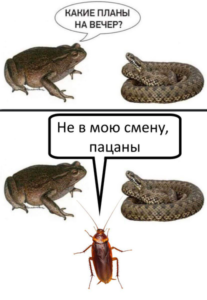 Файл:Вагнер 45.png