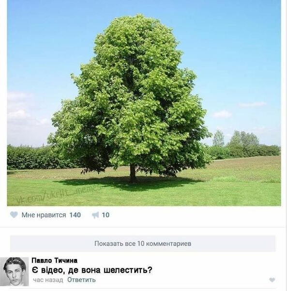 Файл:88175512 216499619726594 14621593388974080 n.jpg