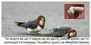 Варни шимки.png