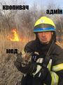 Втятуй кропивач.jpg