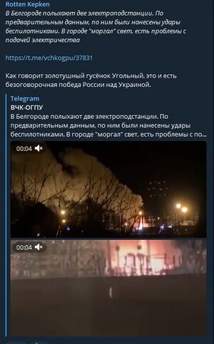 Білгород бавовна2.jpg