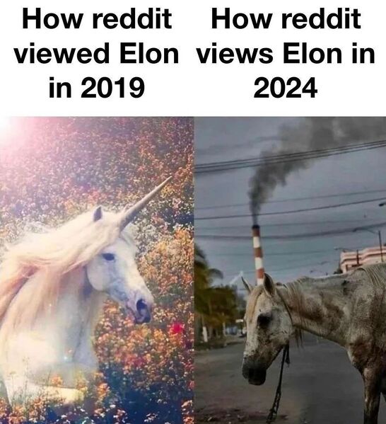 Файл:Reddit ilon.jpg