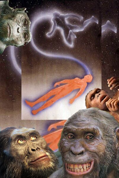 Файл:Astralopitek.jpg