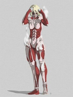 Titan-03.jpg