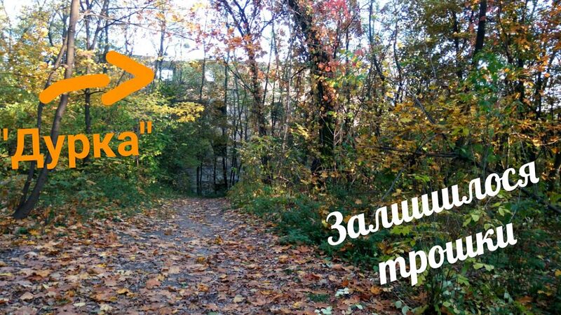 Файл:Моміджі гарі 2017 4.jpg