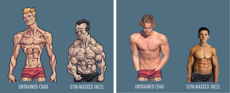 Файл:Chad inchel.jpg