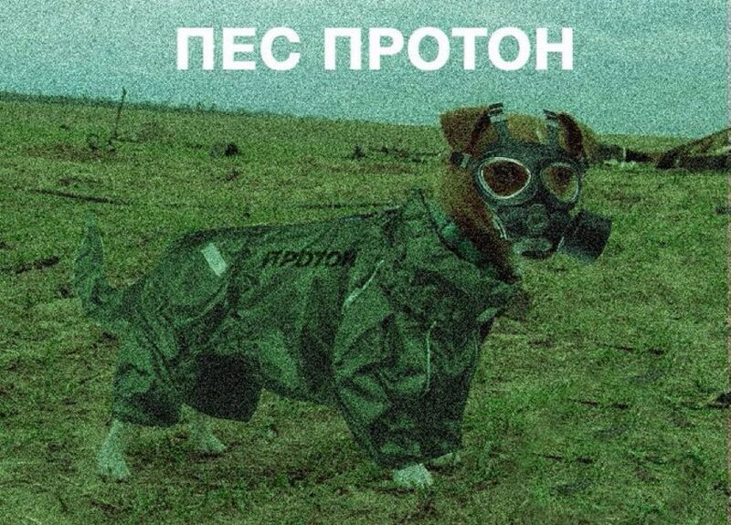Файл:Pes proton.jpg