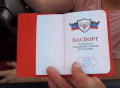 ПАспартина