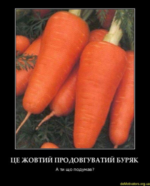 Куркодем.jpg