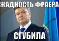 Мініатюра для версії від 06:55, 22 листопада 2016