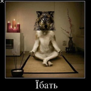 Вовк2.png